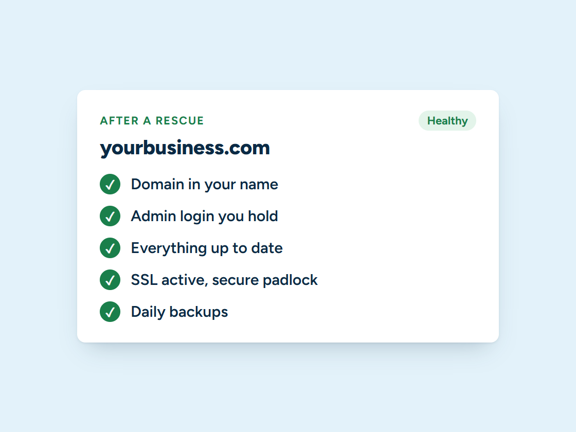 Website health check after a rescue: domain in the owner's name, admin access, updated software, SSL and daily backups